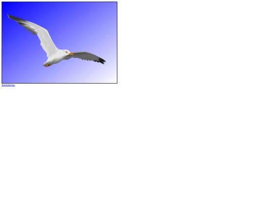 Assignments/Imitation/bird screenshot