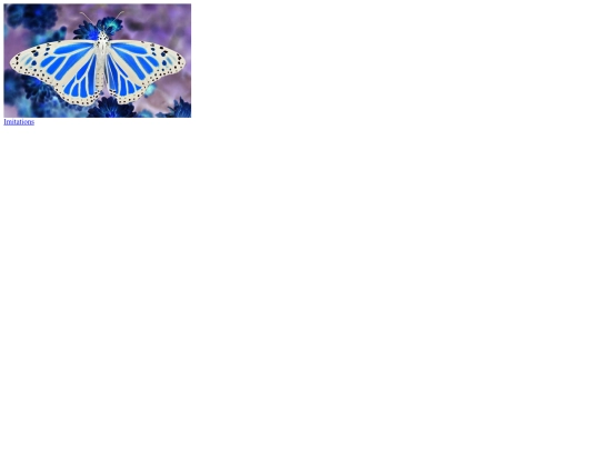 Assignments/Imitation/butterfly screenshot