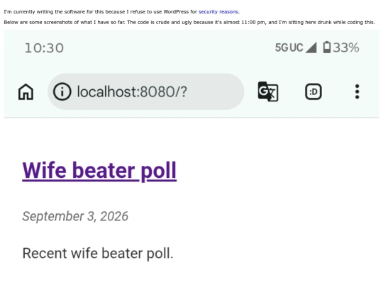 blog screenshot