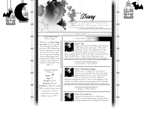 diary screenshot