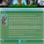 arpinepedia.neocities.org avatar