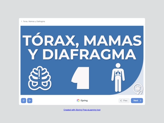 Anatomia y  Embriologia II/PRIMER PARCIAL/1. Torax, Mamas y Diafragma (Published) screenshot