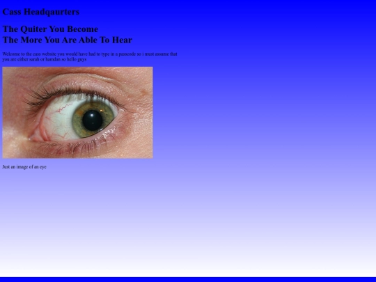cassheadqauters screenshot