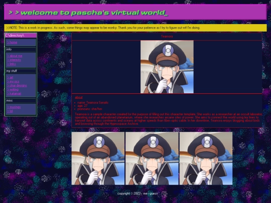 presets/character-template screenshot