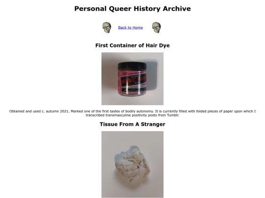 personalqueerhistoryarchive screenshot