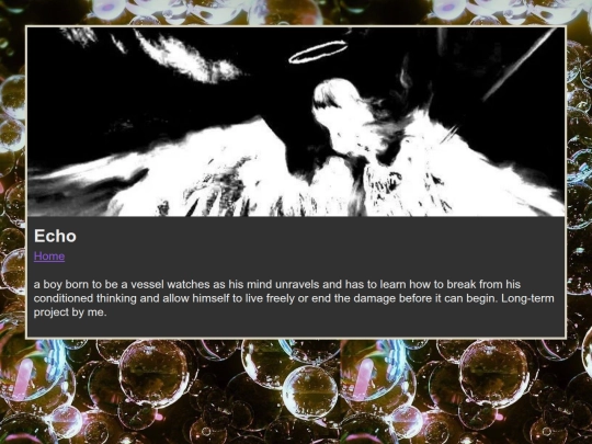 Echo screenshot