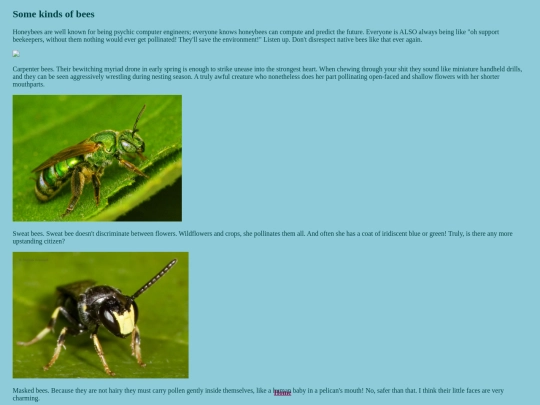 bugs/bees screenshot
