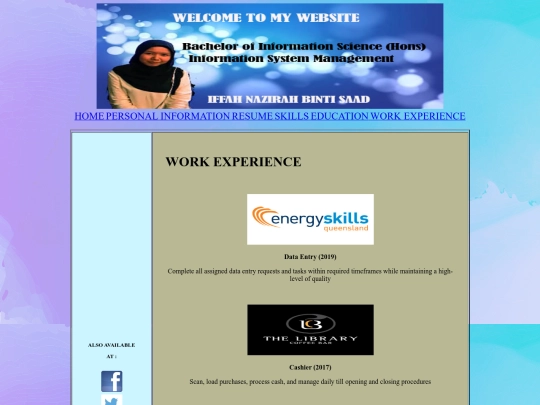 workexperience screenshot