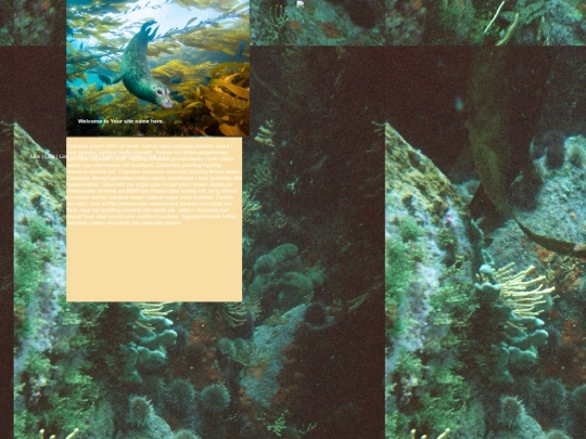 index.html pt2 /pt2 screenshot