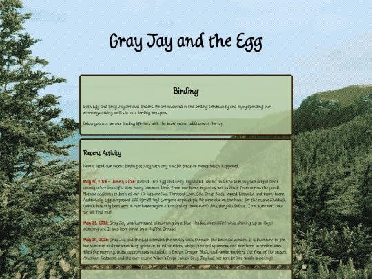 birds screenshot
