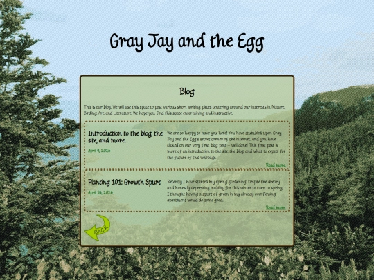 blog screenshot
