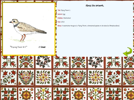 garden/artwork/pipingPlover2 screenshot