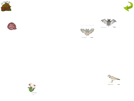 garden/path4 screenshot