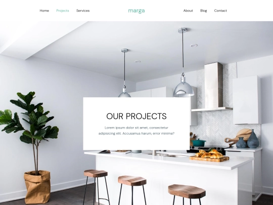 project screenshot