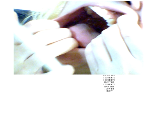 page3/bunny_page_3B screenshot