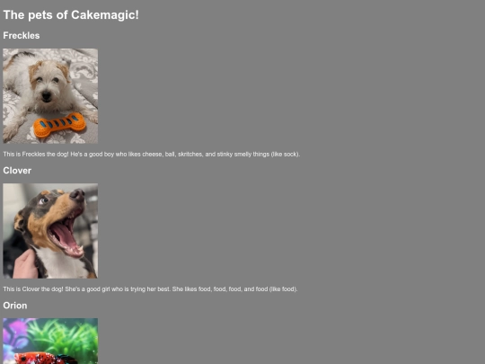 pets screenshot