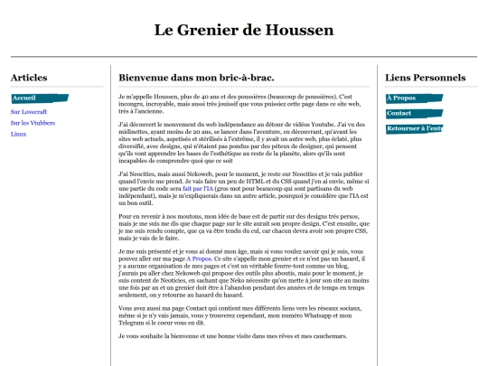pages/accueil screenshot