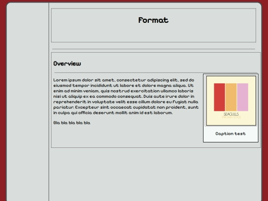 tests/test screenshot