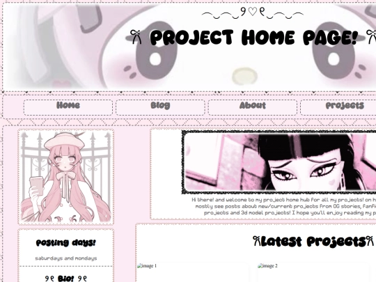 projects screenshot