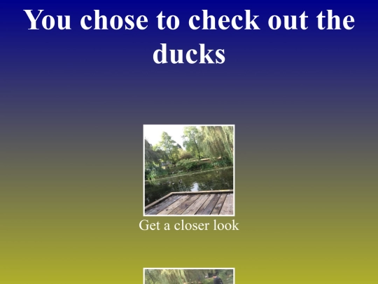 Granville island/ducks screenshot