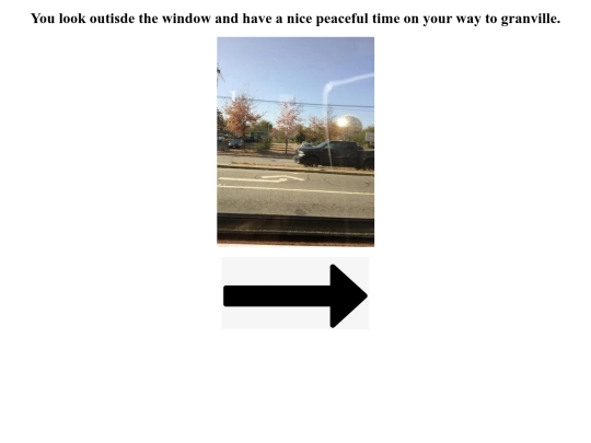 Granville island/window screenshot