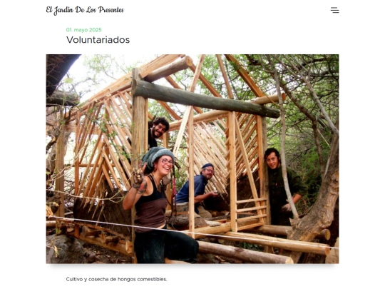 posts/voluntariados screenshot
