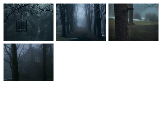 photo screenshot