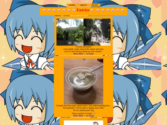 diary screenshot
