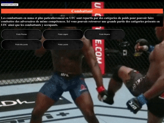 Combat screenshot