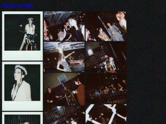 HTML/test-gallery screenshot