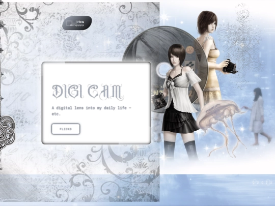 cam screenshot