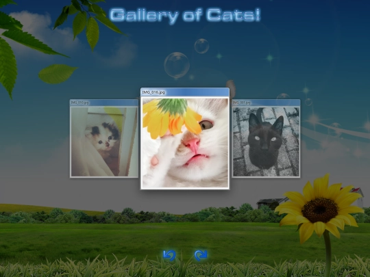 gallery screenshot