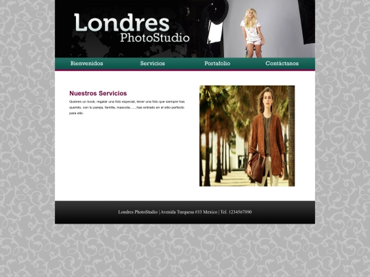 servicios screenshot
