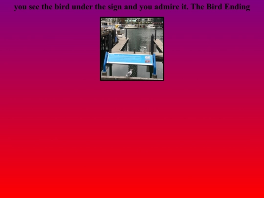Cumin/birdending screenshot
