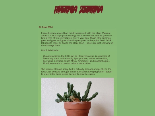 huernia screenshot