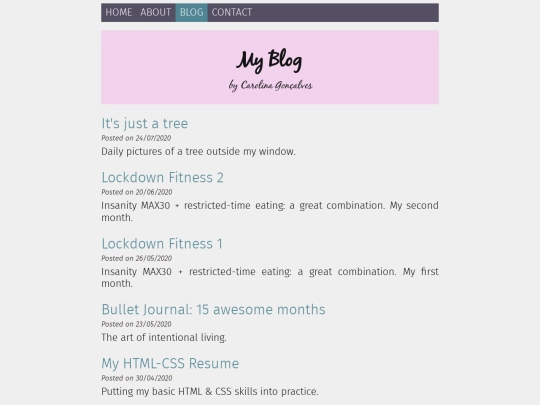 blog screenshot