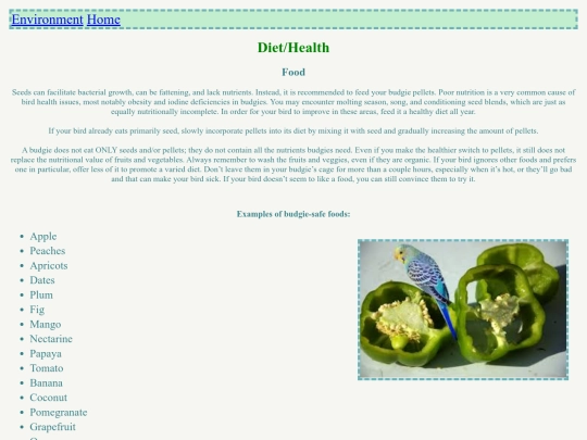 diet screenshot
