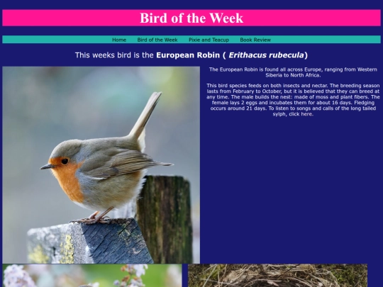 birds screenshot