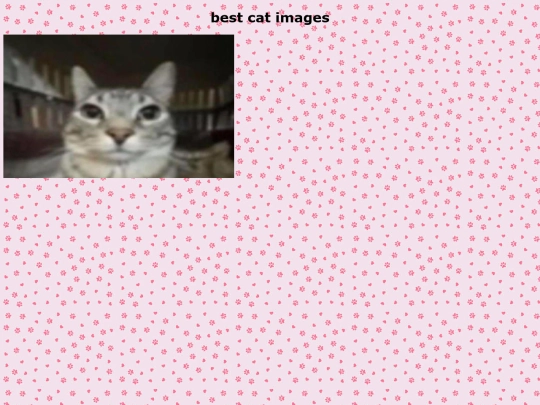 catme screenshot