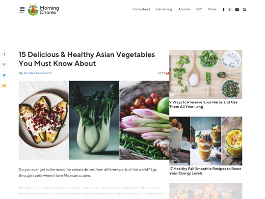 vegetables screenshot