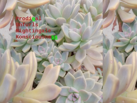 p/pgate screenshot