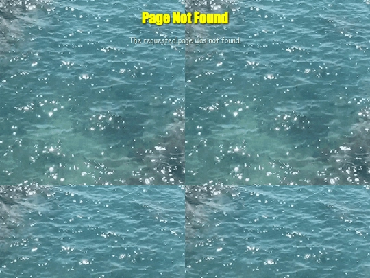 csde/the_studio(3) screenshot