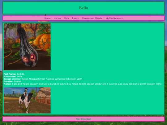 pets/bella screenshot