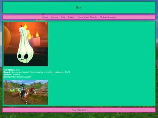 pets/boo screenshot
