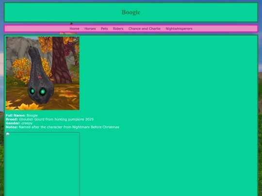 pets/boogie screenshot