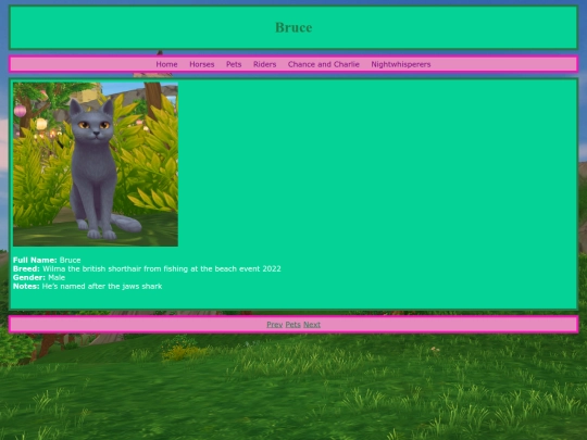 pets/bruce screenshot