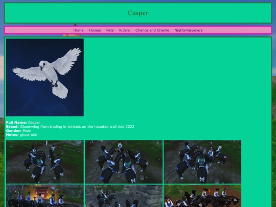 pets/casper screenshot