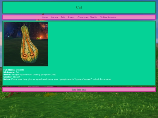 pets/cat screenshot