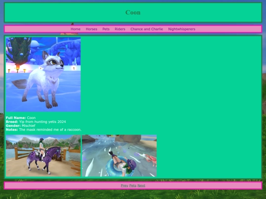 pets/coon screenshot