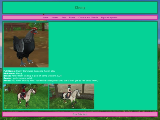 pets/ebony screenshot